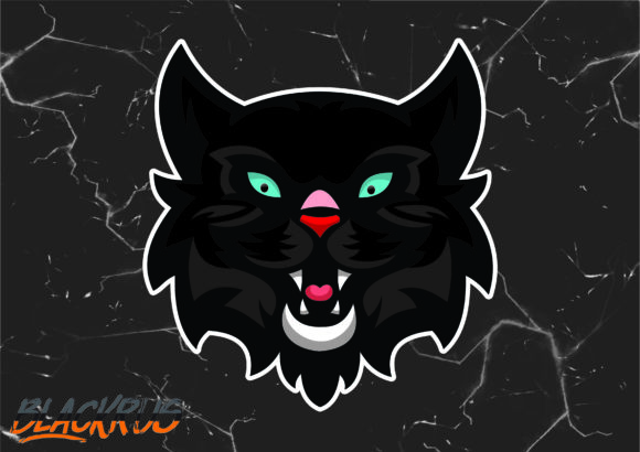 Blackruss Cat: A Review for Real Embroidery Use
