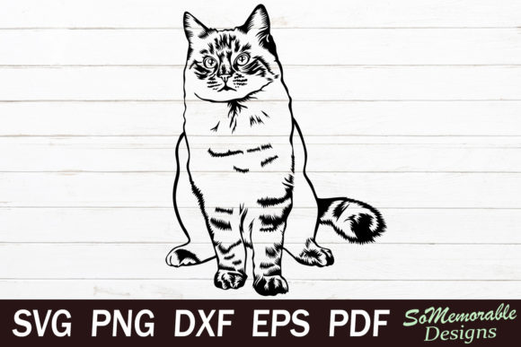 Ragdoll Cat Embroidery Design