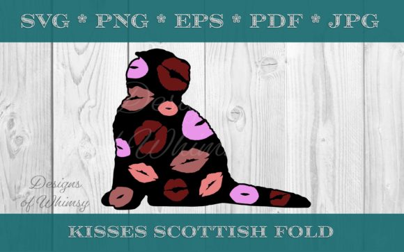 Scottish Fold Cat Kisses